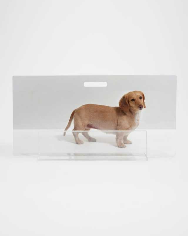 Low Clear Pet Gate Panel, 30"